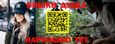прущие крисы Новодвинск
