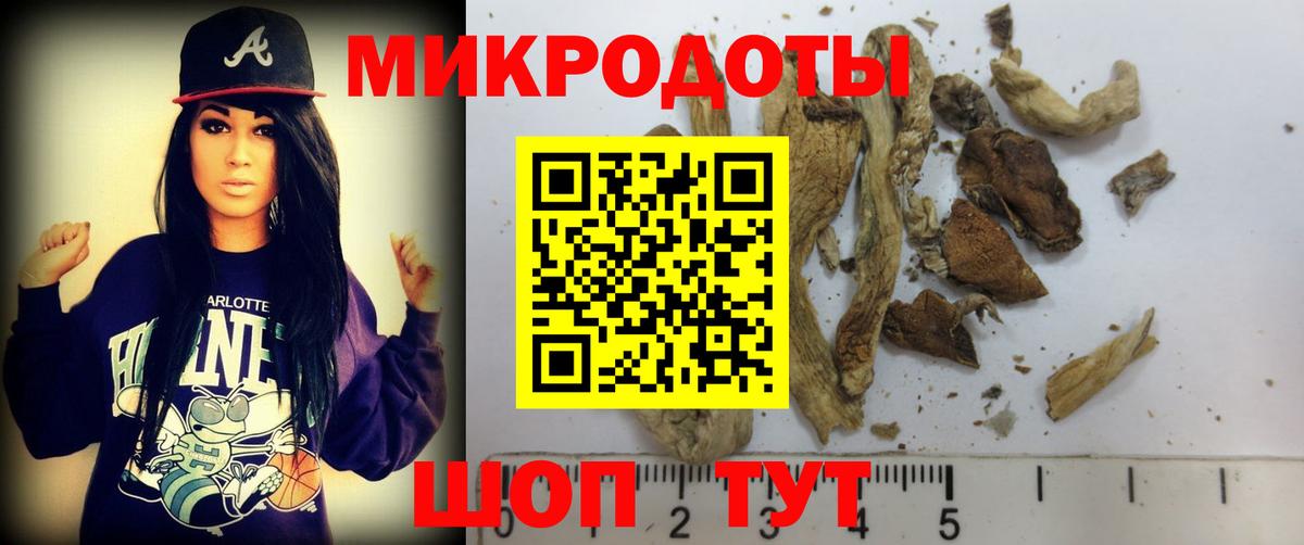 Новый Уренгой  Псилоцибиновые грибы мухоморы  Вход с VPN 