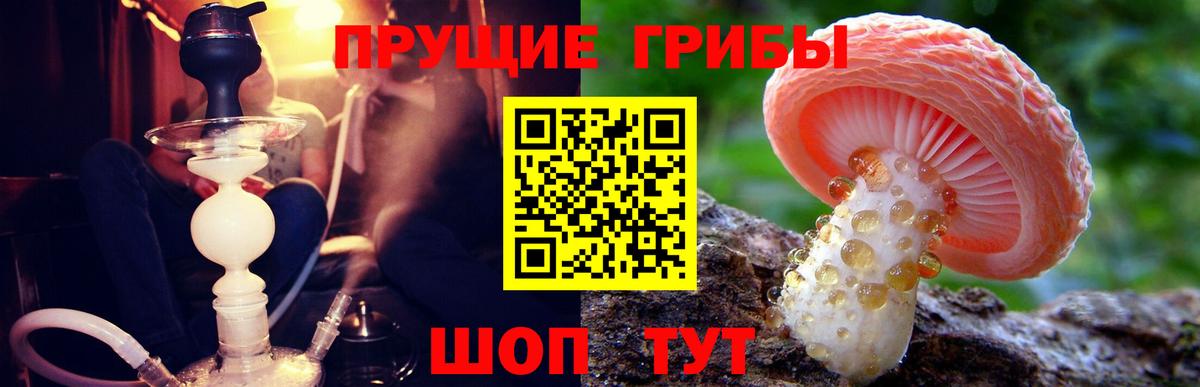 Галлюциногенные грибы Cubensis Новый Уренгой